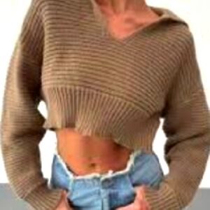 Pink Rose Tan V-Neck Sweater